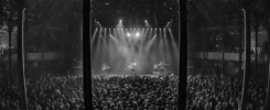 Pre-order Live Album Here